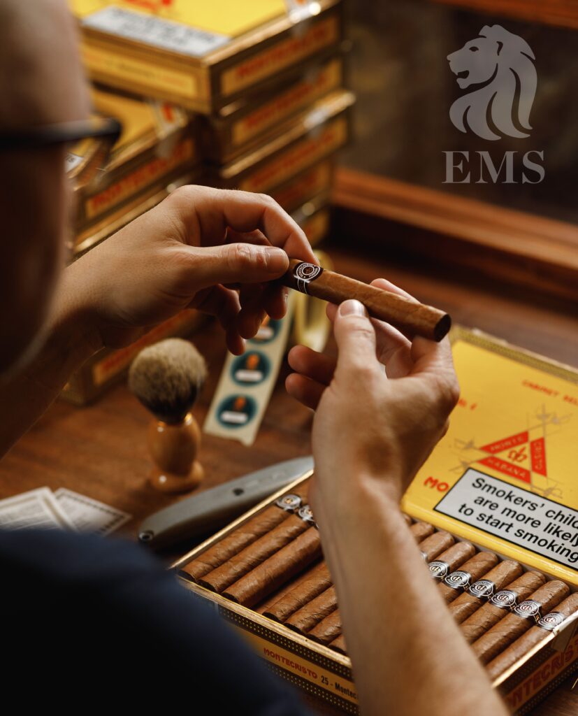 EMS 02 Edit F17efe6d 8b68 462e 84c7 6a77a09b7f3e 827x1024